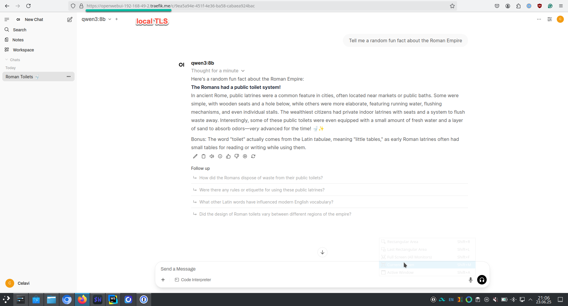 Web UI via OpenWebUI (with proper local TLS setup)