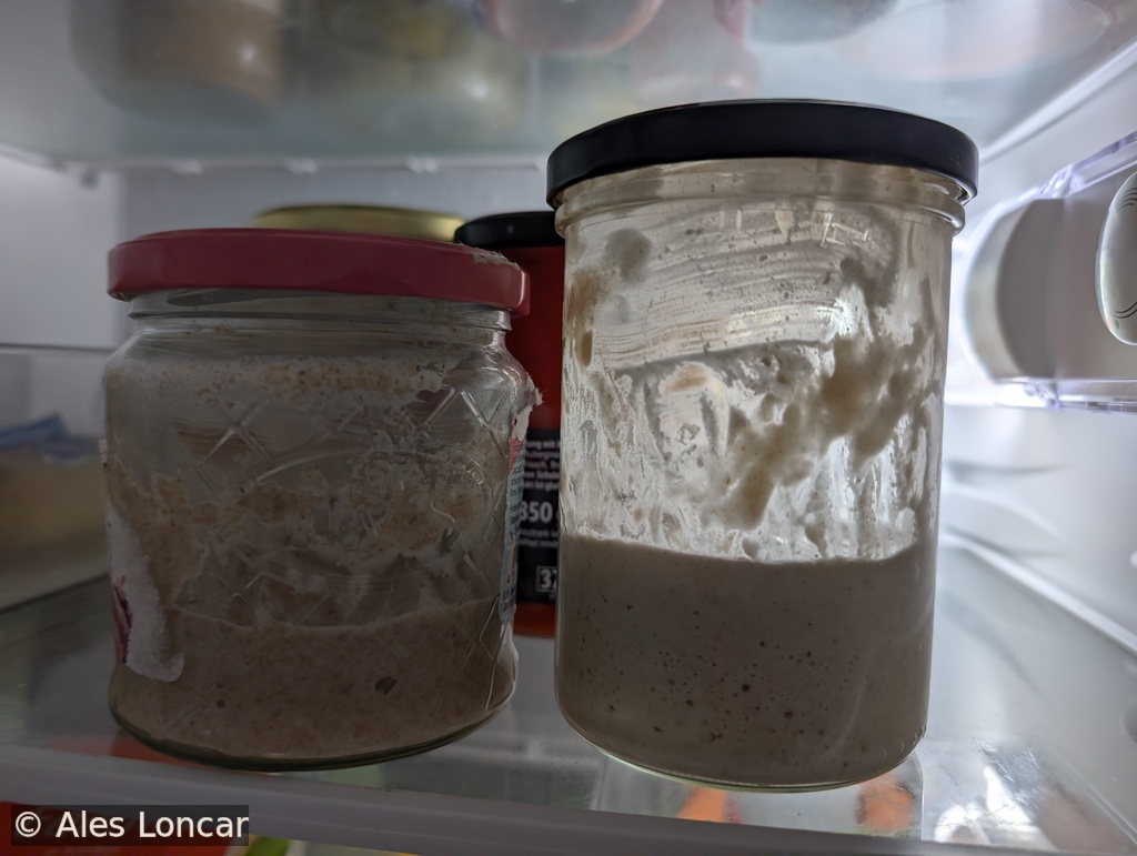 Day 3 sourdough starter bubbles