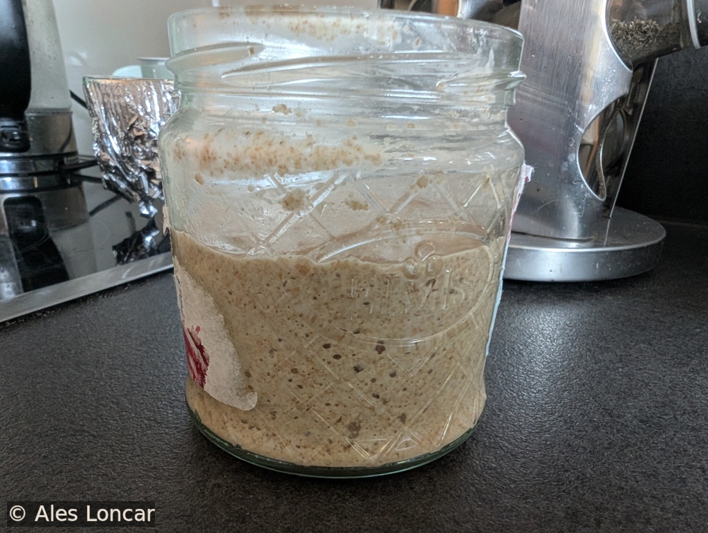 Day 4 sourdough starter discard