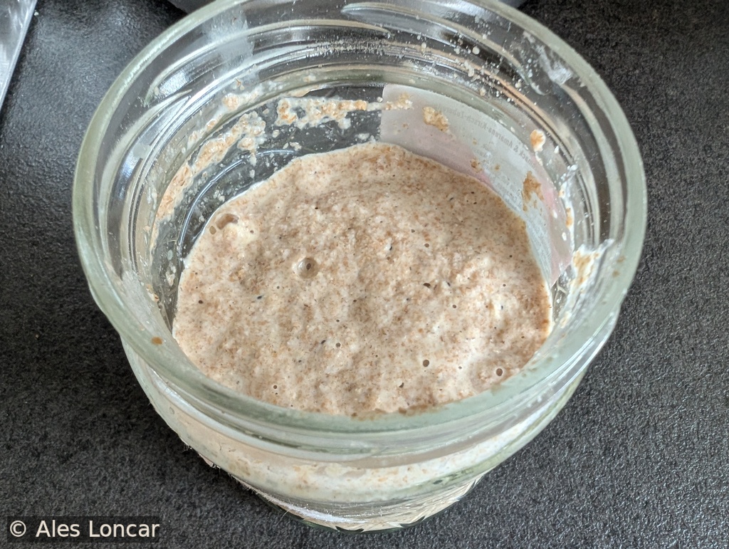 Day 5 sourdough starter rise