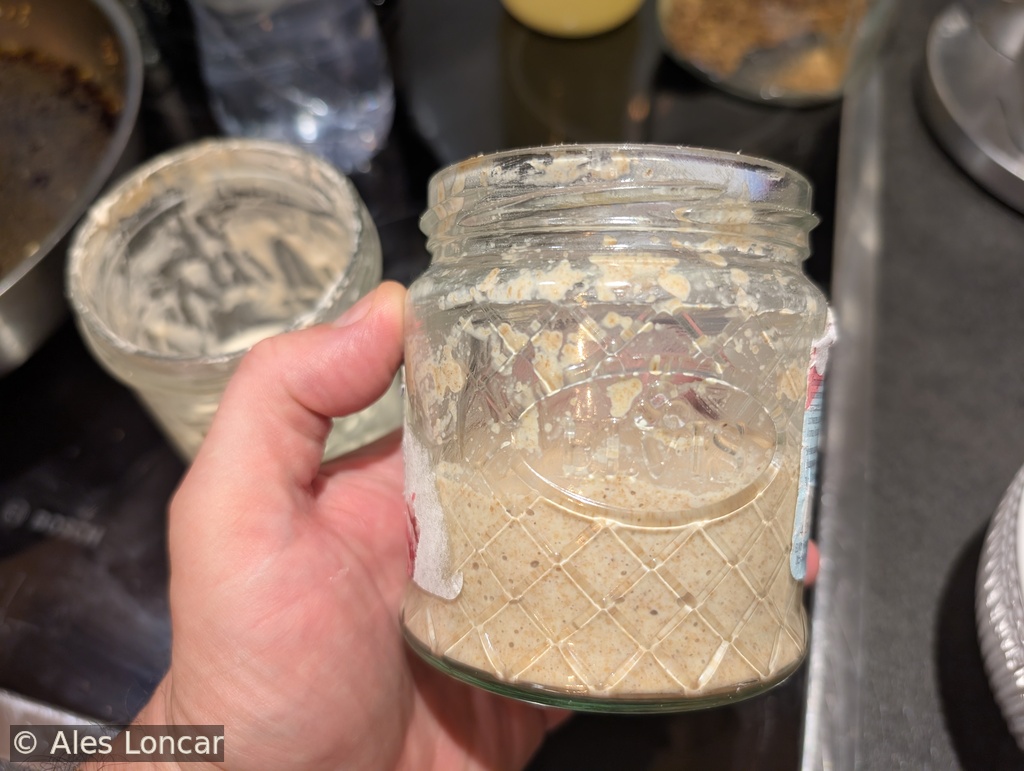 Day 5 sourdough starter rise