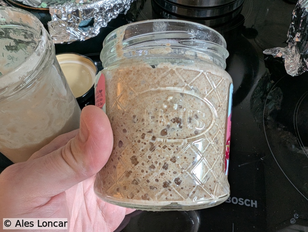 Day 6 active sourdough starter