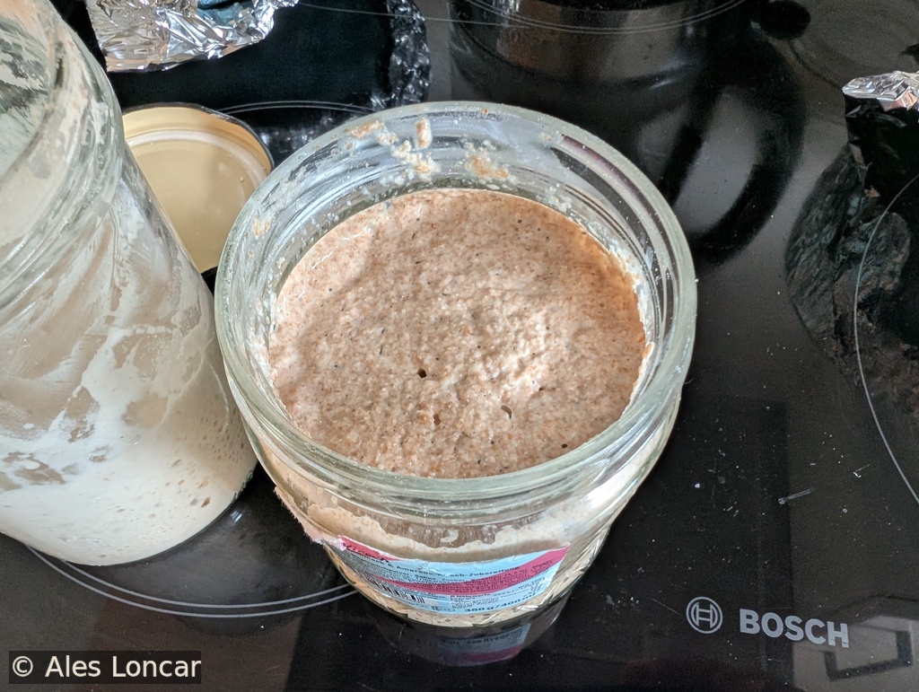 Day 6 active sourdough starter